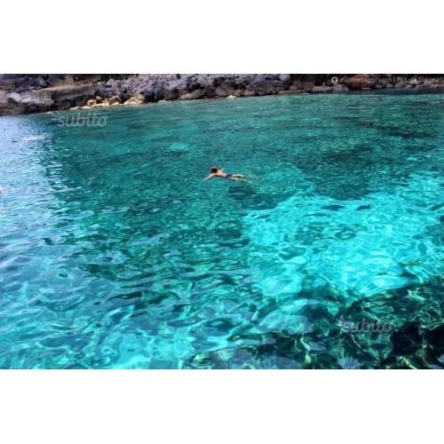 Lampedusa tutto l'anno