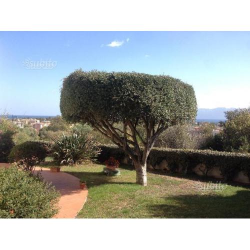 Casa vista mare a Pittulongu