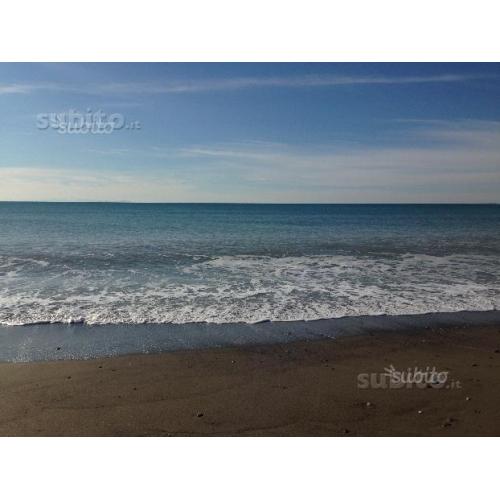 Bibbona Estate da giugno a settembre