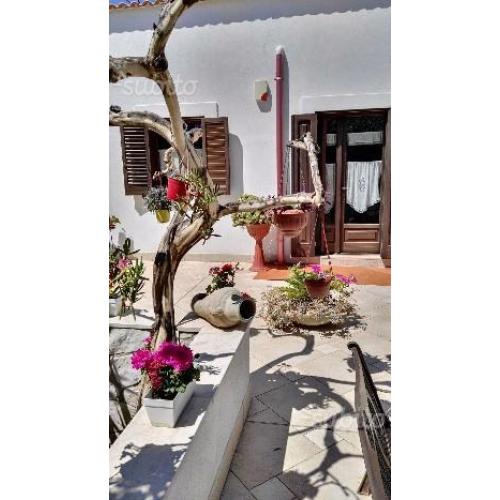 Villa 200 metri dal mare (Gargano-Mattinata)