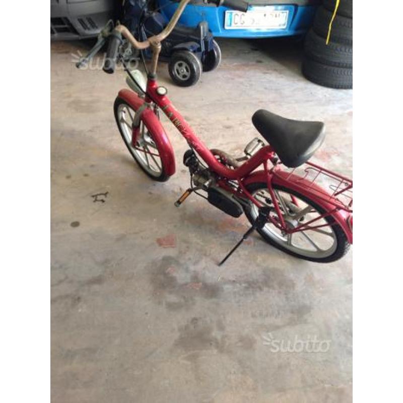 Bici a motore