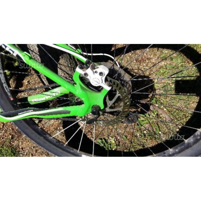 Bici bianchi