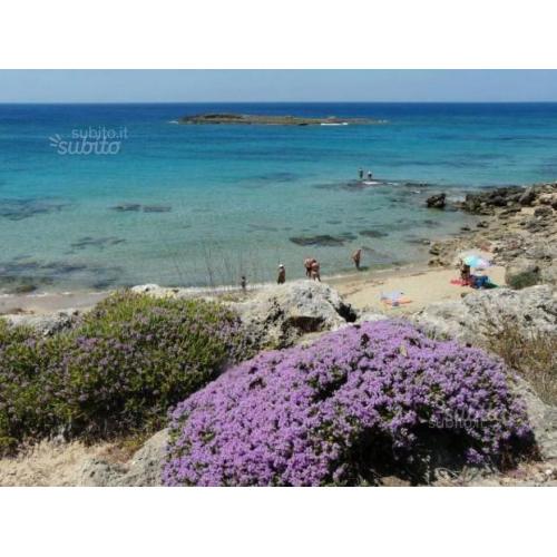 LASTMINUTE 30-6AGO Torre san Giovanni 50mt dal mar