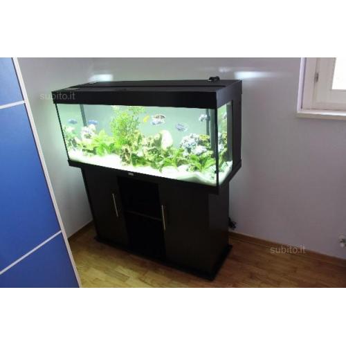 Acquario juwel rio 240 con supporto e accessori