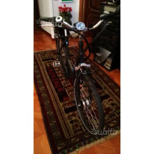 Bicicletta elettrica