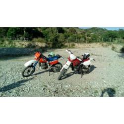 HONDA xr dall'ara ASI
