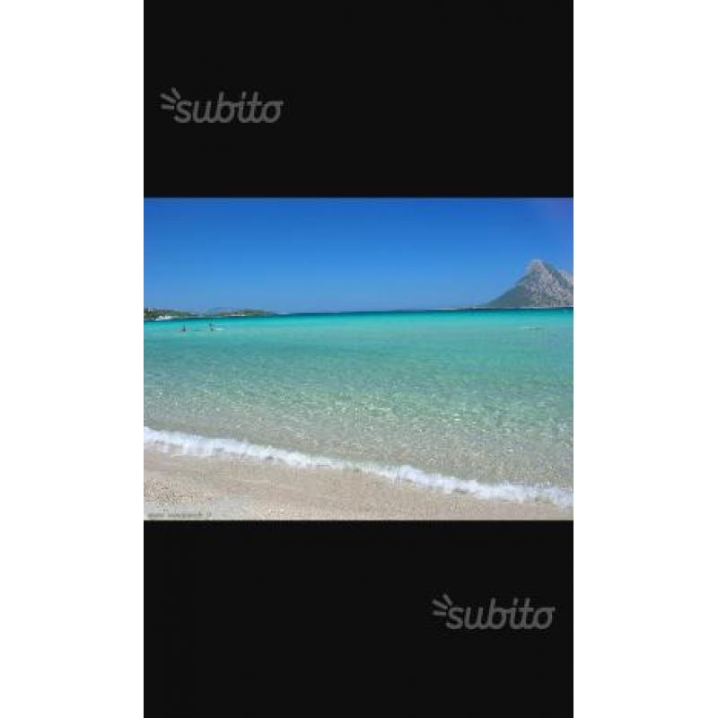 Estate in relax 2016