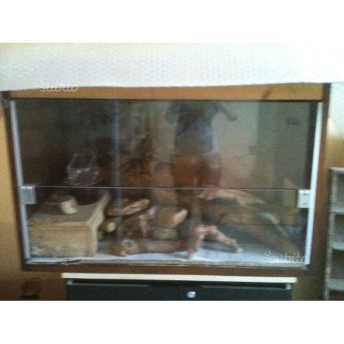 Gabbia terrario degu rettili criceti roditori